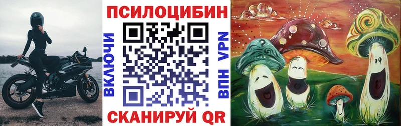 Галлюциногенные грибы Psilocybe  купить наркоту  Ступино 